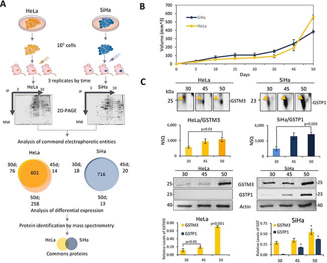 Proteomics