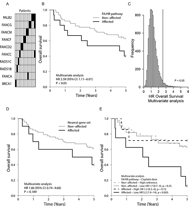 FA/HR gene variants in tumors of HNSCC patients and their prognostic value.