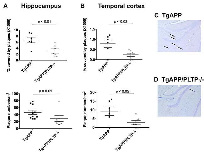 Quantification of Congo-Red positive plaques in TgAPP and TgAPP/PLTP&#x2013;/&#x2013; mice.