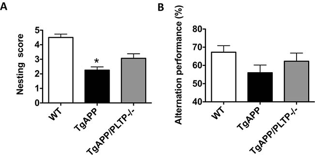 Behavioral analysis of TgAPP and TgAPP/PLTP&#x2013;/&#x2013; mice.