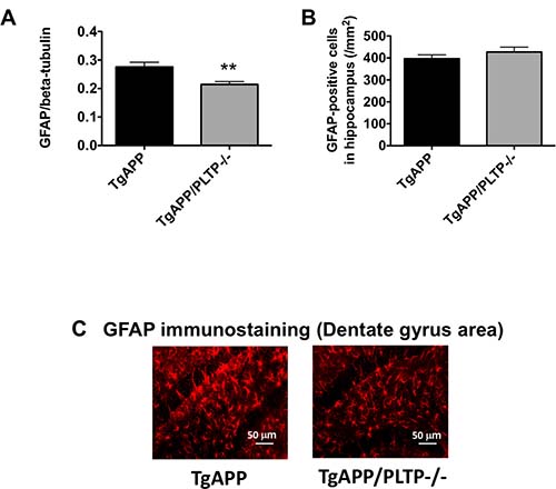Quantification of astrogliosis in TgAPP and TgAPP/PLTP&#x2013;/&#x2013; brain tissues.