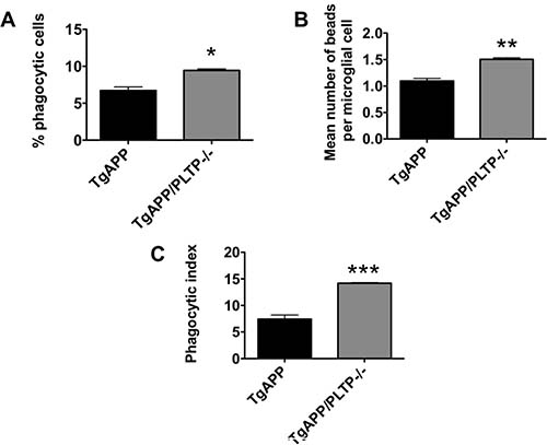 Phagocytosis ability of microglial cells from TgAPP and TgAPP/PLTP&#x2013;/&#x2013; mice.