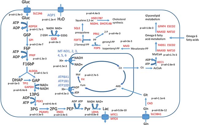 Main differentially used reactions between cancer cells and healthy tissues.