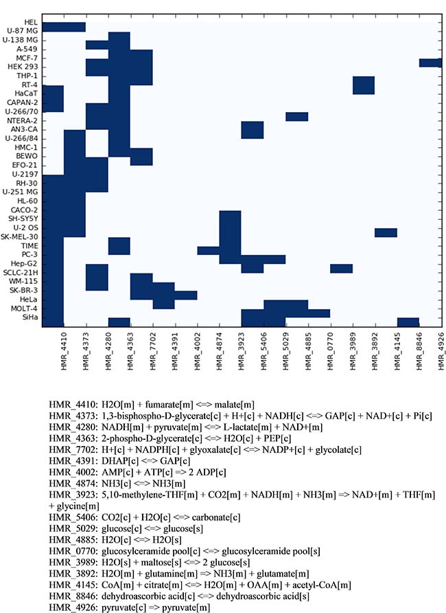 Combinations of reactions to be targeted in order to reduce selectively the proliferation rate of each cell line.