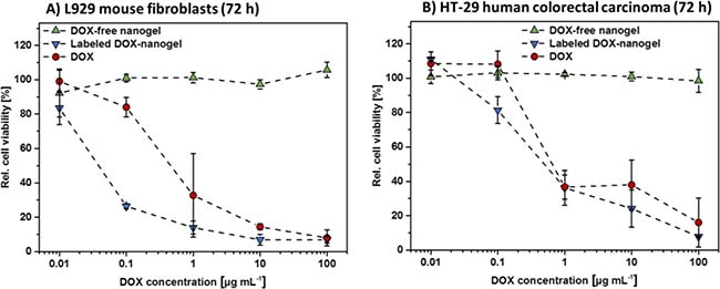 Cytotoxicity of DOX-free nanogels, labeled DOX-nanogels as well as free DOX were determined by XTT assay.