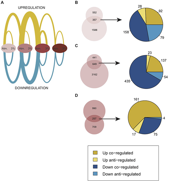 Comparison of differential gene expression due to moderate hypoxia (hDEGs) and differential gene expression changes within the BJ cell model (DEGs).