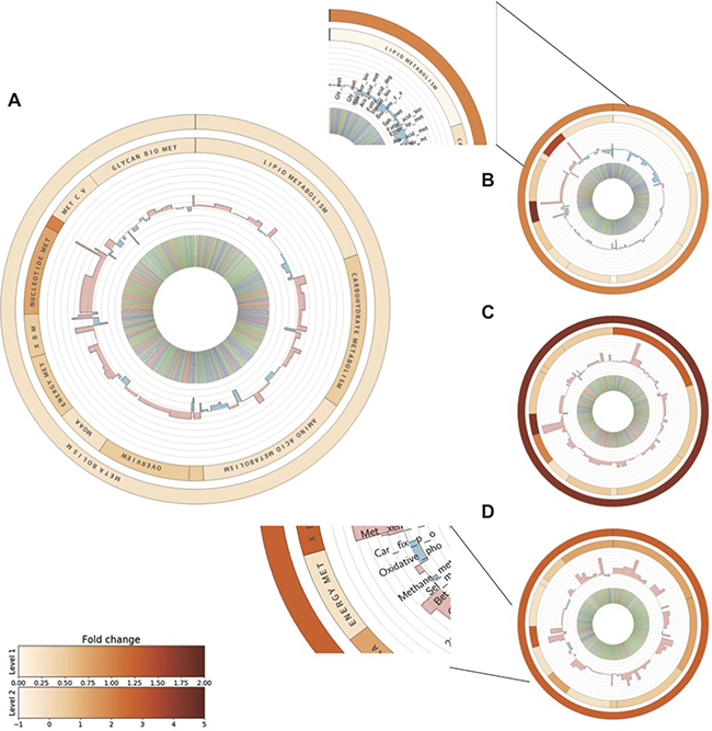 Metabolic profiling of differentially expressed genes at each stage of the BJ model.