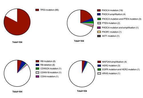 Distribution of molecular alterations sorted for molecularly defined subtypes in TNBC.