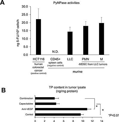 Intratumoral MDSCs have PyNPase activities and thymidine phosphorylase (TP), which is known as a proangiogenic factor.