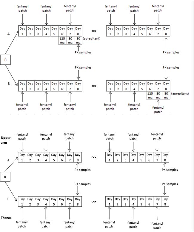 Study design of both the aprepitant study (upper scheme) and patch localization study (bottom scheme).