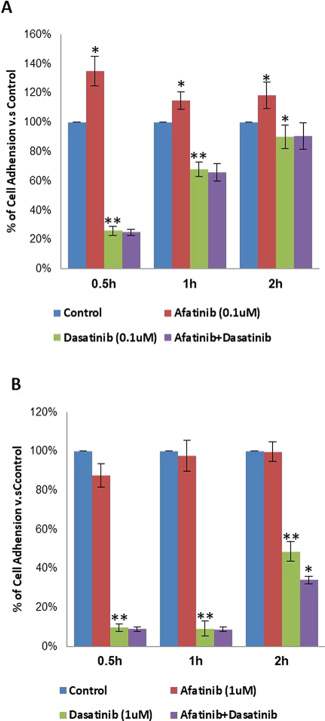 Inhibition of cell adhesion to collagen I by the treatment of afatinib, dasatinib, and their combination in H1650 cells.