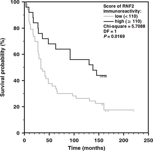 Kaplan&#x2013;Meier analysis of overall survival and the expression of RNF2 in a group comprising both primary melanomas and metastases.