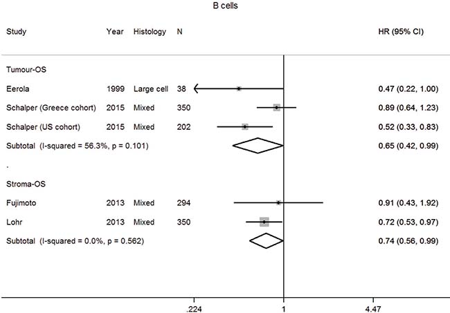 Forest plot of studies assessing B cells and overall survival (OS) in patients with non-small cell lung cancer (NSCLC) according to localisation in tumor or stroma compartment.