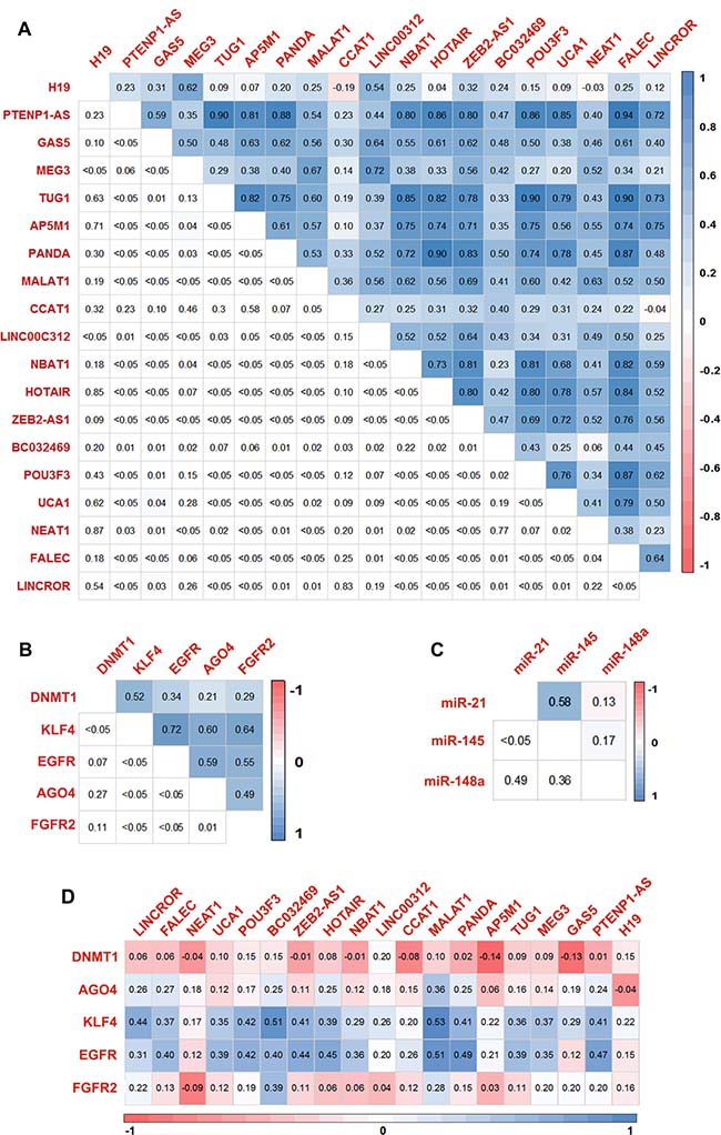 Correlation matrix of the genes screened for the expression.