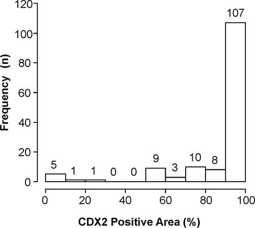 Histogram depicting the ratios of CDX2-positive cells to all cancer cells in whole sections of primary colorectal cancers.