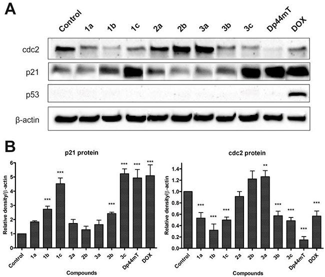 Figure 6: