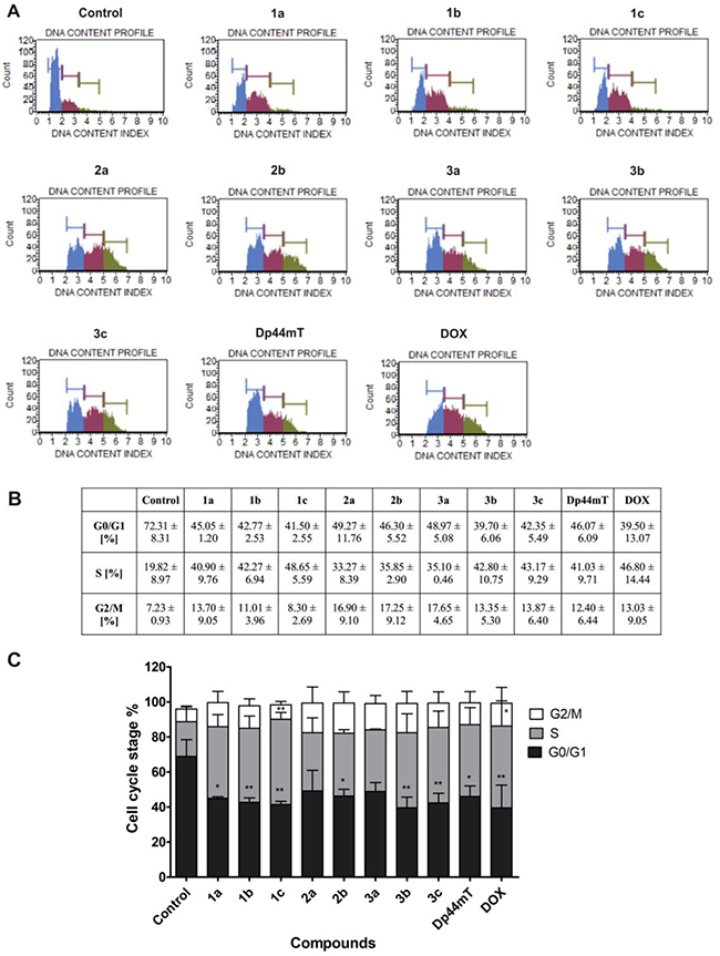 Impact of TSC (1 &#x03BC;M) and DOX (5 &#x03BC;M) treatment on the regulation of the cell cycle in HCT116 cells.