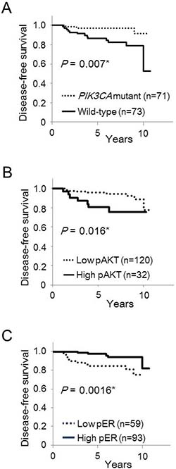 Kaplan&#x2013;Meier curves of the effect of PIK3CA mutations, phosphorylation of AKT Ser473 and ER&#x03B1; Ser167 on disease-free survival in postmenopausal women.