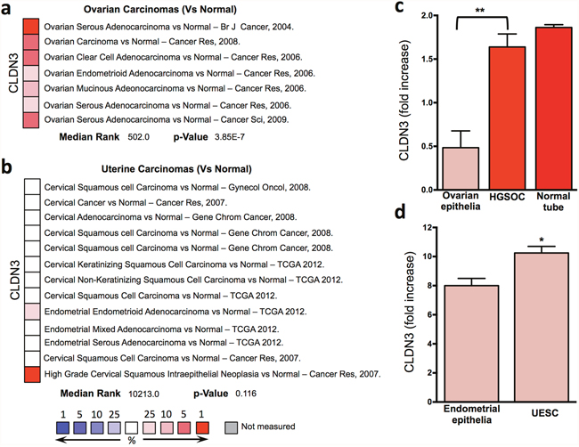 Claudin3 in gynecological tumors.