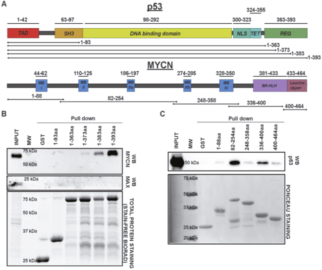 Figure 3: