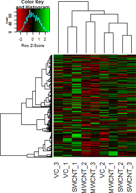 Representative heat map obtained by unsupervised hierarchical clustering of the miRNA expression data; each row represents a miRNA and each column represents a sample.