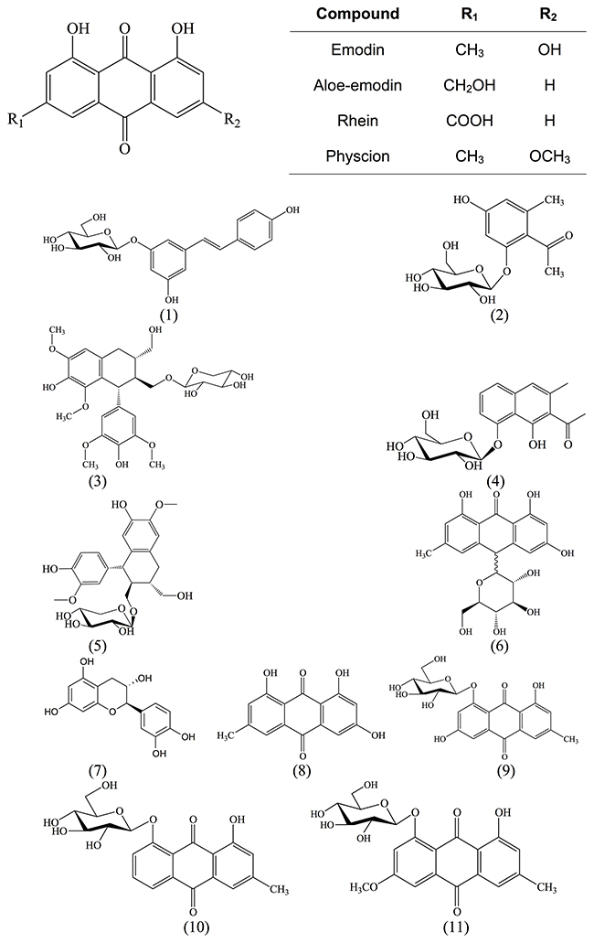 Chemical structures of main anthraquinone aglycons and isolated compounds from R. acetosella L.