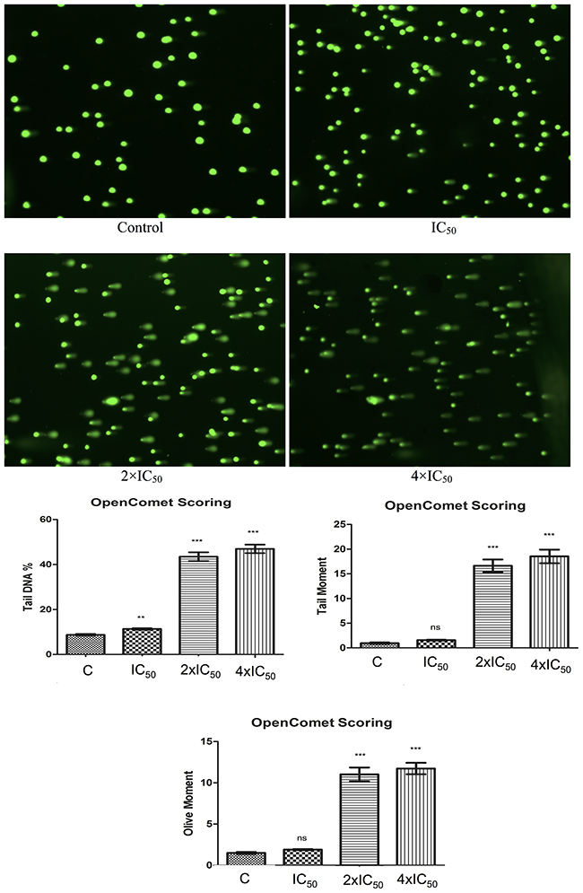 Induction of DNA damage by Aloe-emodin in CCRF-CEM cells.