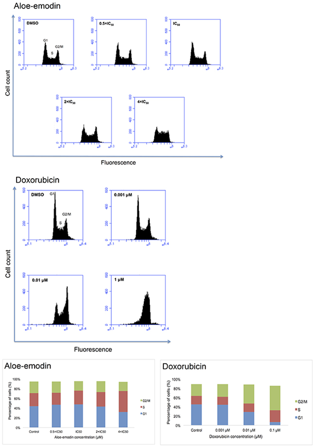 DNA histograms and cell cycle distribution of CCRF-CEM cells treated with indicated concentrations of Aloe-emodin and doxorubicin, respectively for 24 h.