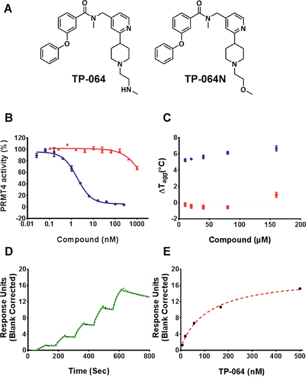 TP-064 is a potent inhibitor of PRMT4.