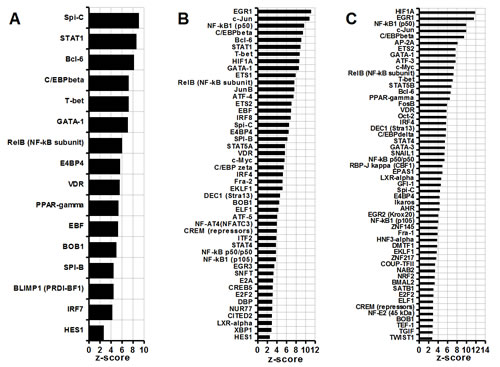 Comparative analysis of MDSC transcription factors.