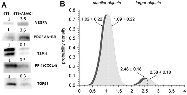 Effects of dual anti-platelet therapy with aspirin and clopidogrel on platelet size and pro-angiogenic phenotype in orthotopic metastatic breast cancer model.