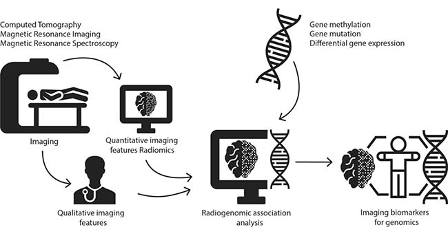 Illustration of the research methods of radiogenomics.