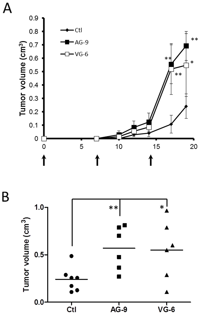 AG-9 induces in vivo tumor growth.