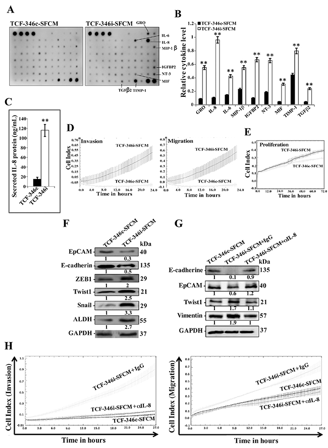 Let-7b inhibition triggers EMT in breast cancer cells in a paracrine manner.