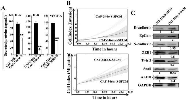 Overexpression of let-7b by mimic decreased cancer-promoting abilities of breast myofibroblasts.