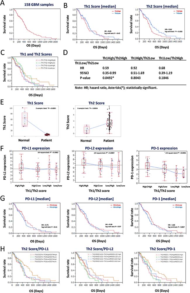 Low balance of Th2 score with lower expression of PD-L1/PD-1 axis genes estimates a good prognosis of 158 GBM patients in the training data set.