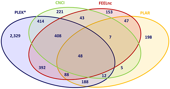 Intersection of predicted novel mRNAs applying different bioinformatic prediction tools.