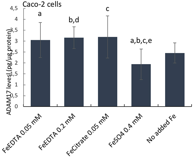 ADAM17 protein levels in human epithelial duodenum adenocarcinoma Caco-2 cells.