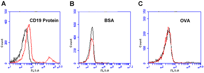 Flow cytometry assessments of the aptamer&#x2019;s binding to CD19 protein, BSA, or OVA.