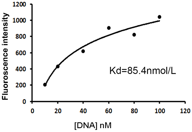 Quantitative evaluation of the aptamer&#x2019;s affinity to CD19 protein.