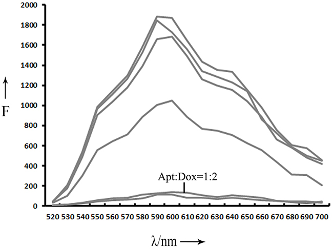 Fluorescence spectra evaluation of Apt-Dox.