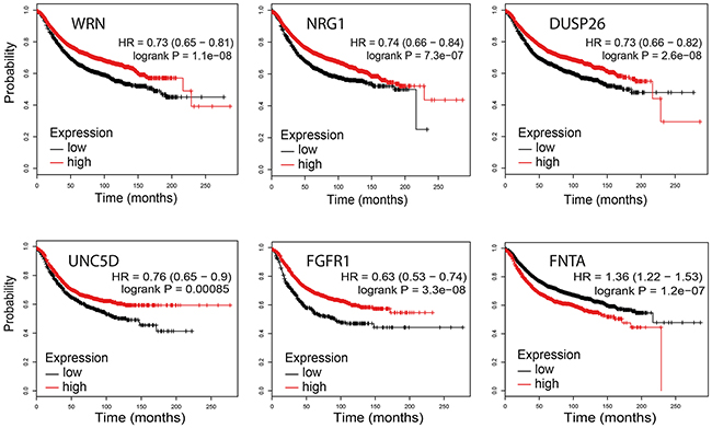Association between WRN, NRG1, DUSP26, UNC5D, FGFR1 and FNTA mRNA expression levels and relapse free survival (KMplotter).