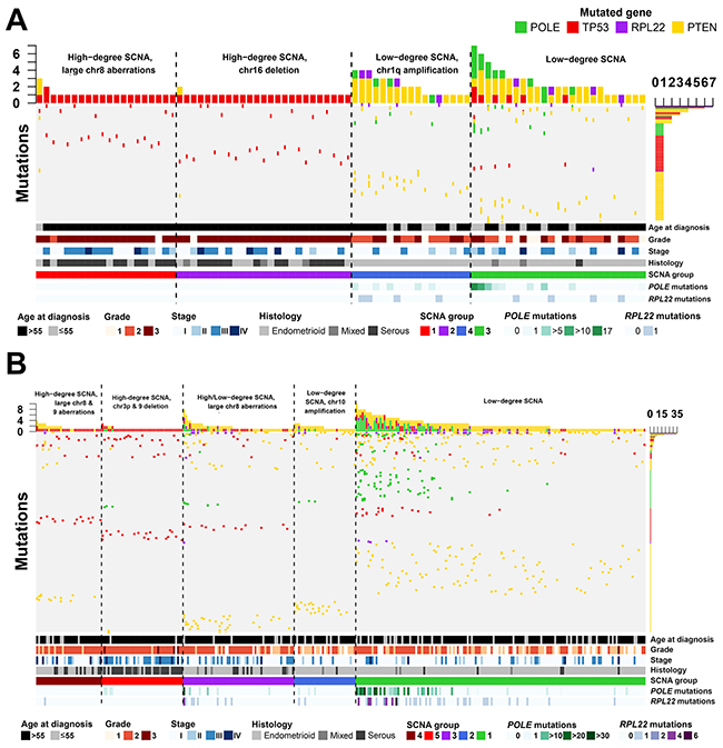 Mutational profiles across endometrial cancers in BoAA and Caucasian patients.