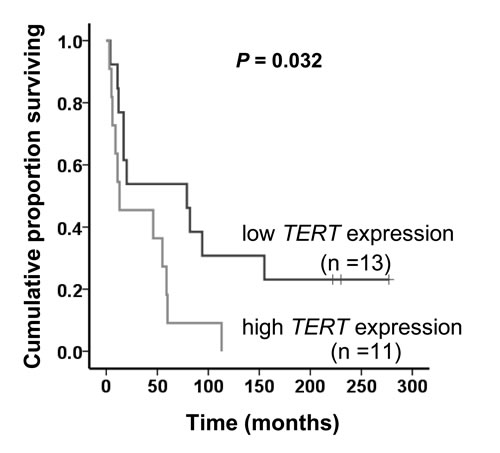 Significant correlation between the TERT mRNA level and overall survival in MCC patients.