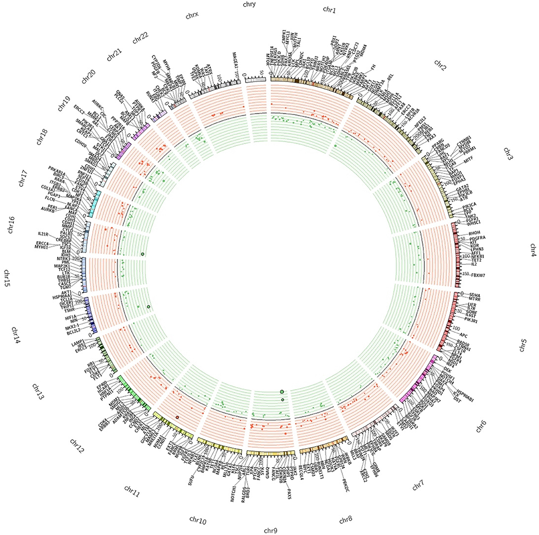 The Circos plot summarizes all CNAs detected in colon cancers samples under analysis.