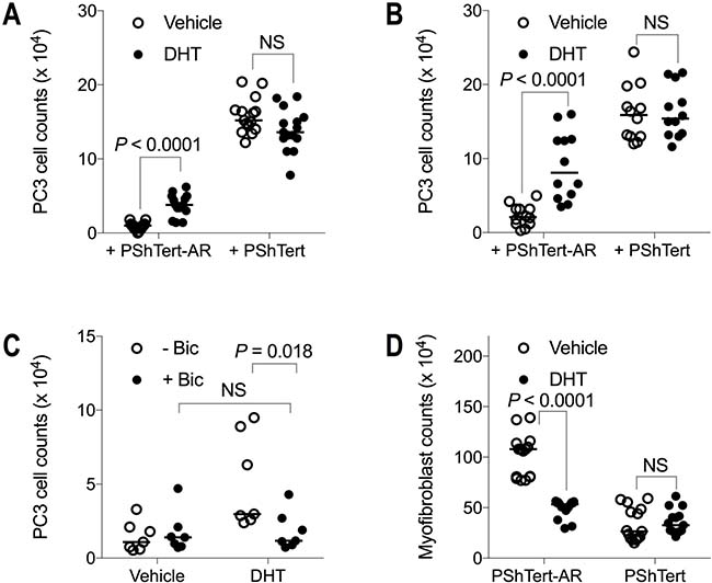 The effect of DHT on PC3 cell and myofibroblast counts in co-culture.