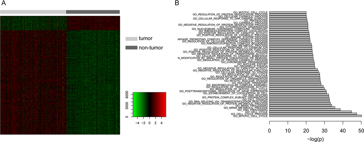 The analysis of differentially expressed genes.