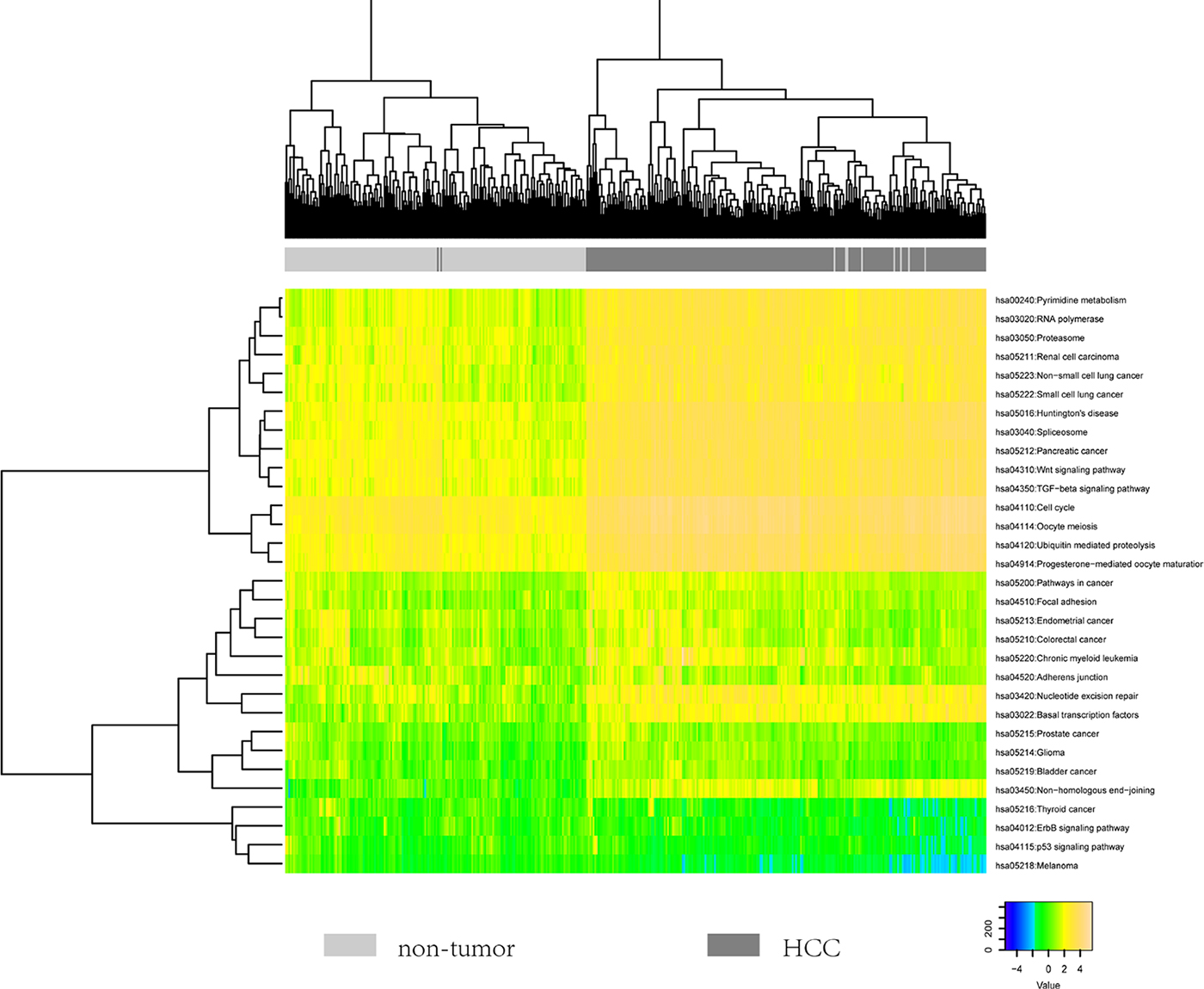 The heatmap showing the hierarchical clustering of all samples using the scores of 31 identified pathways.