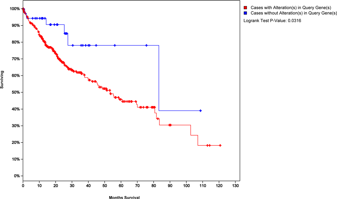 Survival analysis of HCC patients with 45 cross-talk model genes as a tag.