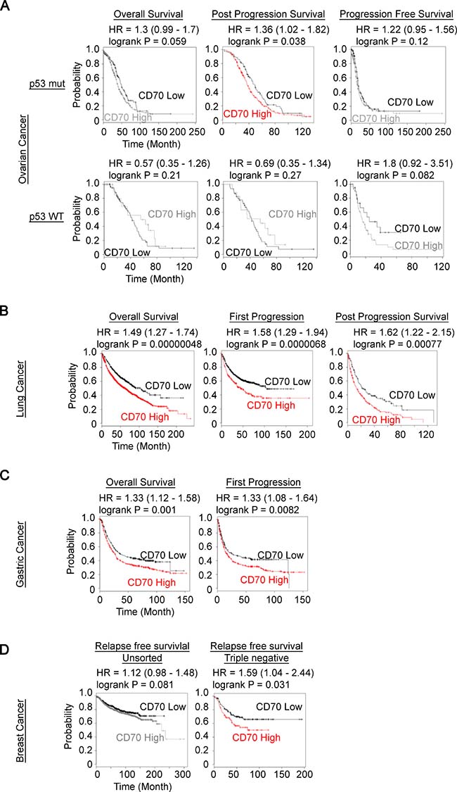 Prognostic value of CD70 expression in human cancer patient.